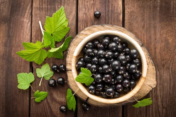 Fresh black currant — Stock Photo, Image