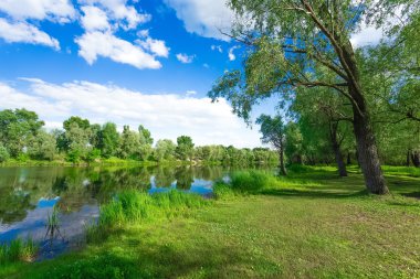 Yaz nehri manzarası 