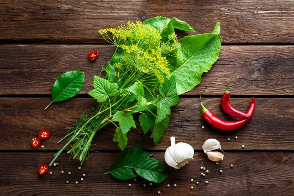 Conservando em escabeche pepinos ingredientes — Fotografia de Stock