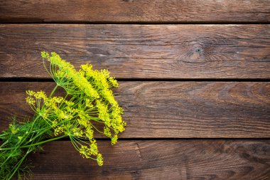 taze şemsiye dereotu