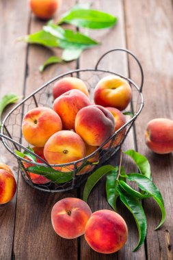 yaprakları taze şeftali