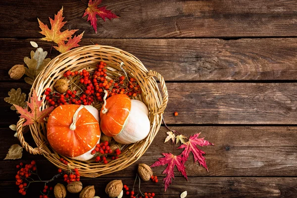 葉、カボチャ、感謝祭、ハロウィン カードと秋の背景 — ストック写真
