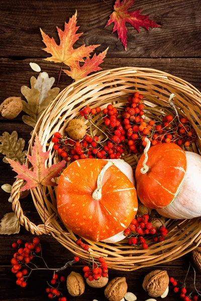 Autumn background with leaves and pumpkins, thanksgiving and halloween card — Stock Photo, Image