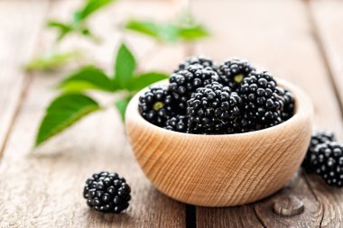 taze böğürtlen yaprakları ile