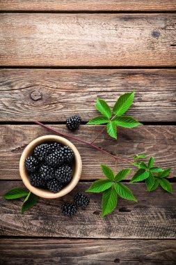 taze böğürtlen yaprakları ile