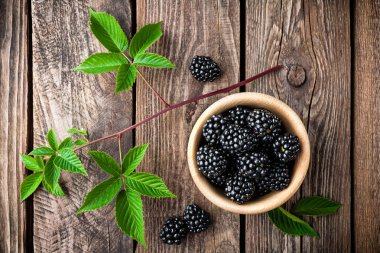 taze böğürtlen yaprakları ile