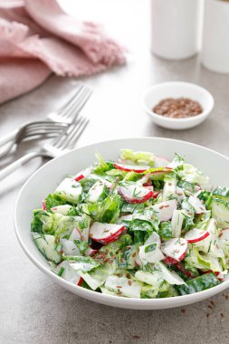 Taze sebze salatası yeşil marul, turp ve dereotlu salatalık, yeşil soğan ve Yunan yoğurdu.