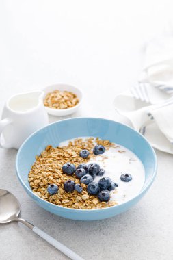 Yoğurt ve yaban mersinli granola.