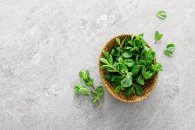 Sepette taze nane, üst görünüm, kopyalama alanı