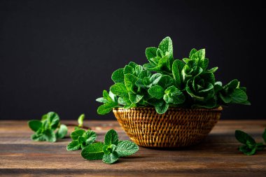 Koyu arkaplandaki sepetteki taze nane.