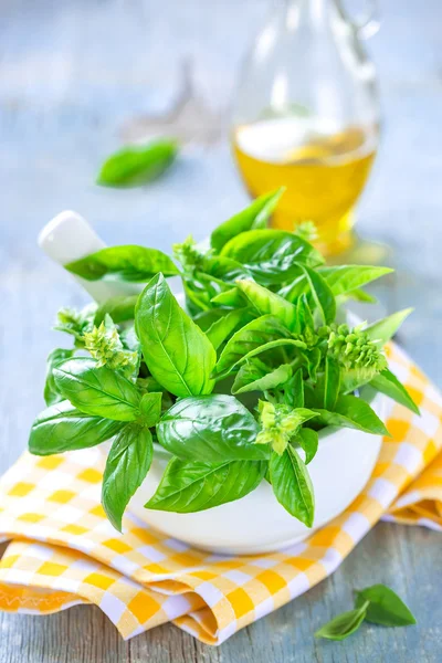 Fresh basil — Stock Photo, Image