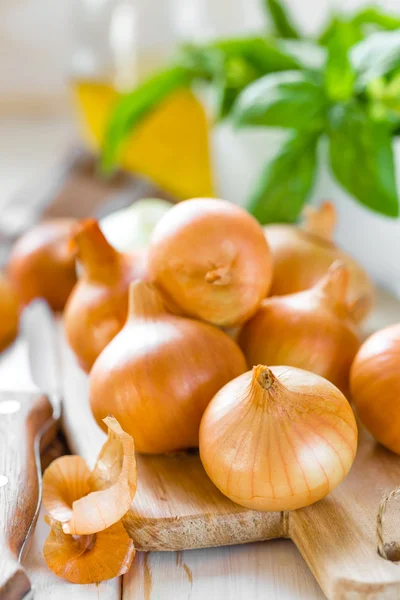 Zwiebeln — Stockfoto