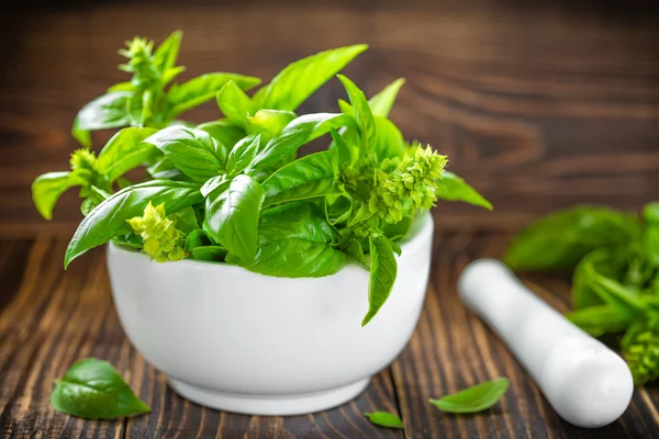 Fresh basil — Stock Photo, Image