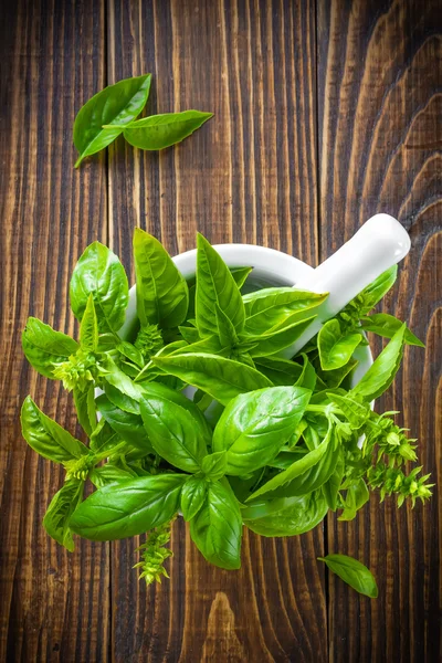 Fresh basil — Stock Photo, Image