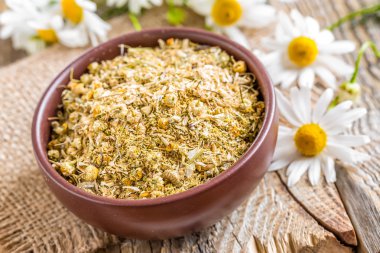 Kuru papatya ve taze çiçekler