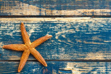 Deniz yıldızı ile ahşap arka plan