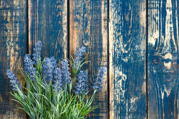 Lavendel — Stockfoto