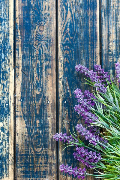 Lavanda — Fotografia de Stock