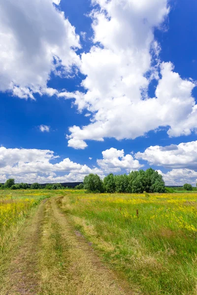 Grasland — Stockfoto