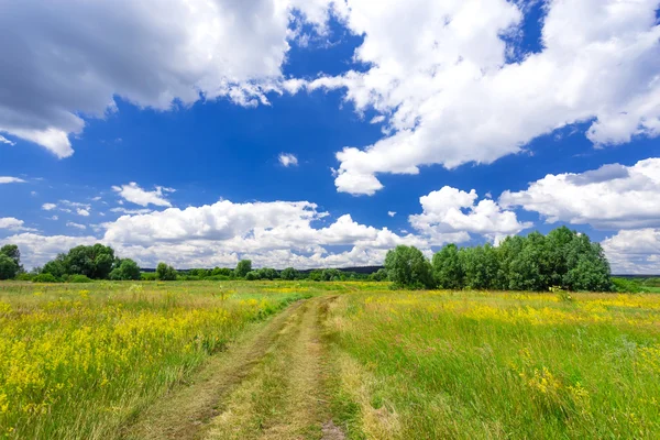 Grasland — Stockfoto