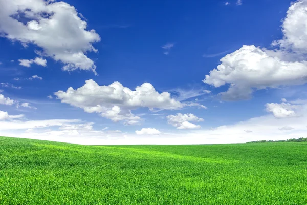 Green field — Stock Photo, Image