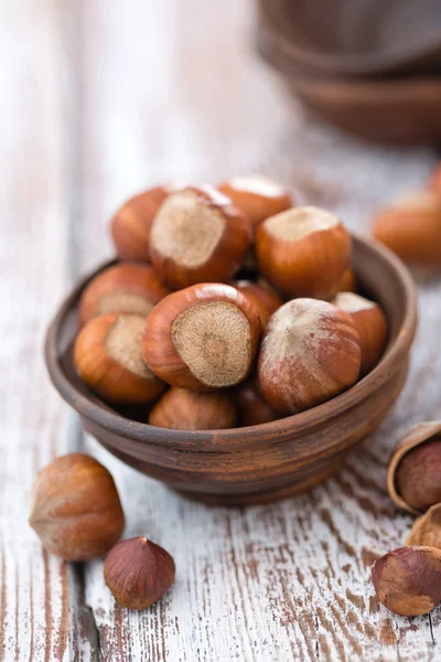 Hazelnuts — Stock fotografie