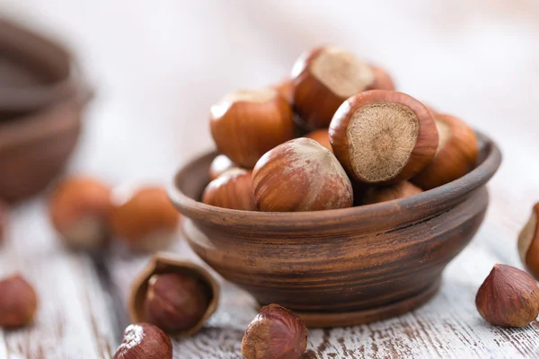 Hazelnuts — Stock fotografie