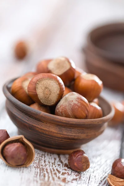 Hazelnuts — Stock fotografie