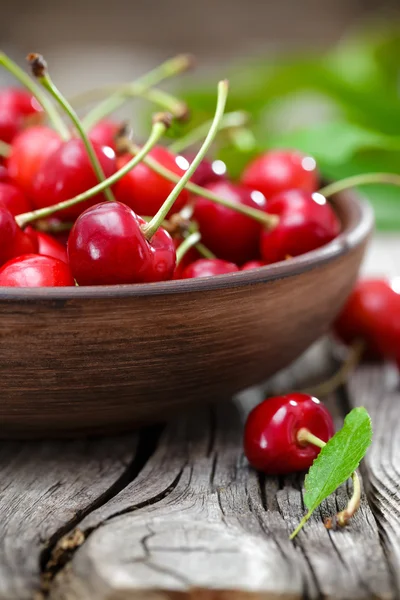 Cherry — Stock Photo, Image