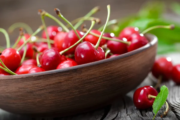 Cereza — Foto de Stock