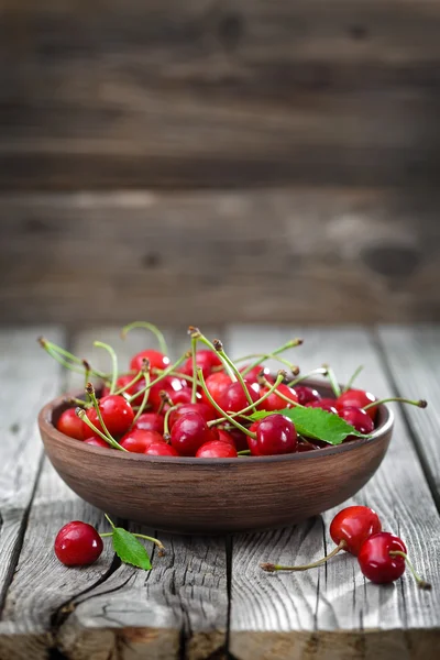 Cherry — Stock Photo, Image