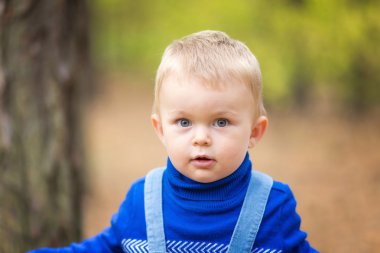 bir ormandaki erkek bebek