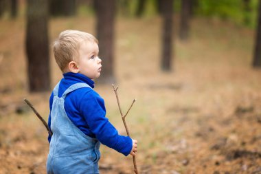 bir ormandaki erkek bebek