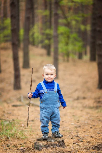 Bébé garçon dans une forêt — Photo