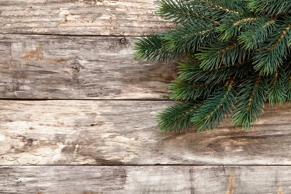 Vánoční pozadí se stromem — Stock fotografie