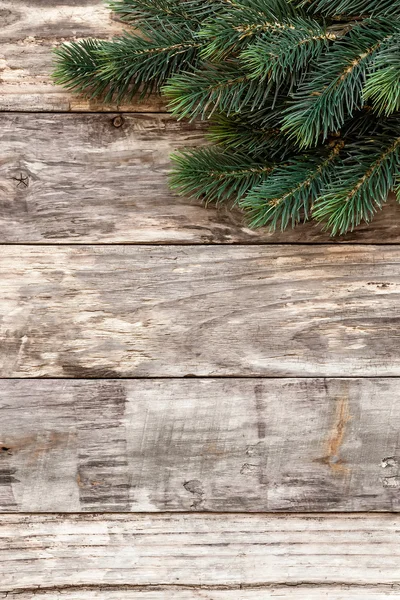 Fondo de Navidad con árbol —  Fotos de Stock
