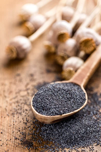Poppy seeds in wooden spoon — Stock Photo, Image