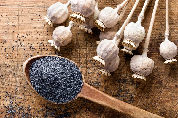 Poppy seeds in wooden spoon — Stock Photo, Image