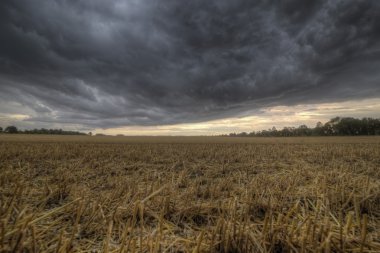 Anız alan ve yaklaşan fırtına