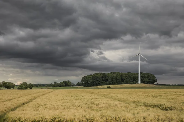 Field and thunderstorm — Stock Photo, Image