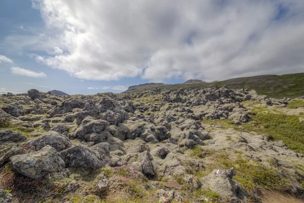 Ruwe landschap in IJsland — Stockfoto