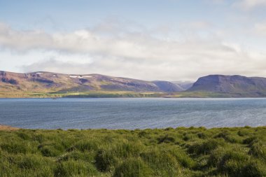 İzlanda'daki Westfjords