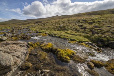 Küçük dağ deresi