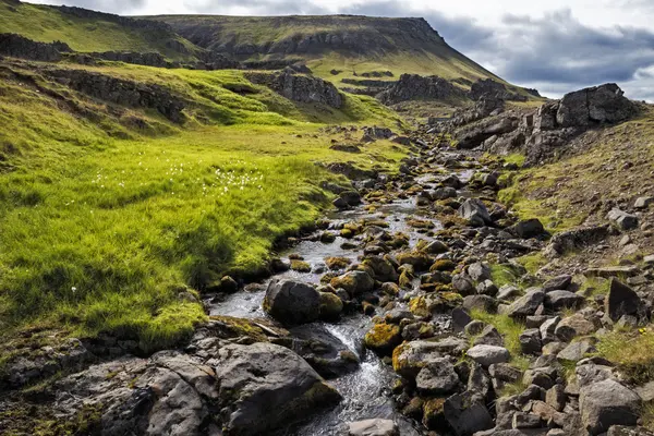 Small mountain stream — Stock Photo, Image