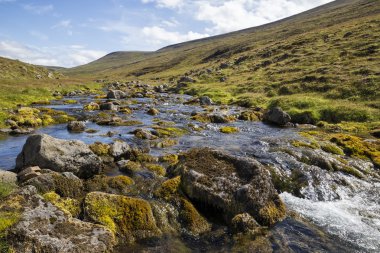 Küçük dağ deresi