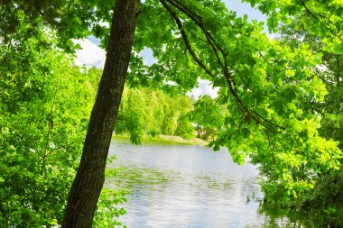 Orman Gölü kıyısında