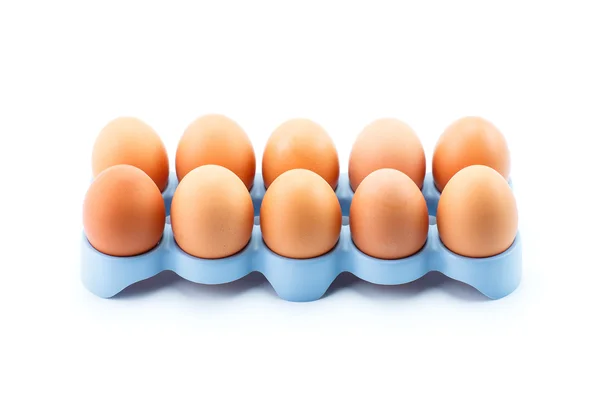 青いスタンドで鶏の卵 — ストック写真