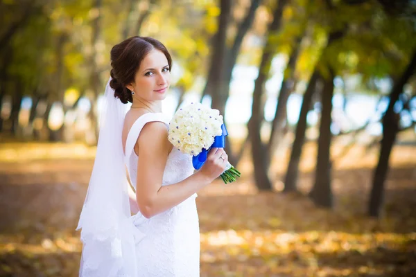 Retrato de una hermosa novia — Foto de Stock