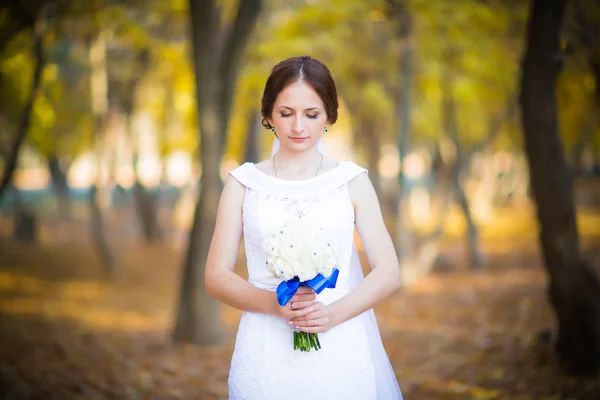 Ritratto di una bella sposa — Foto Stock