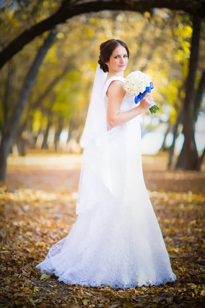Ritratto di una bella sposa — Foto Stock